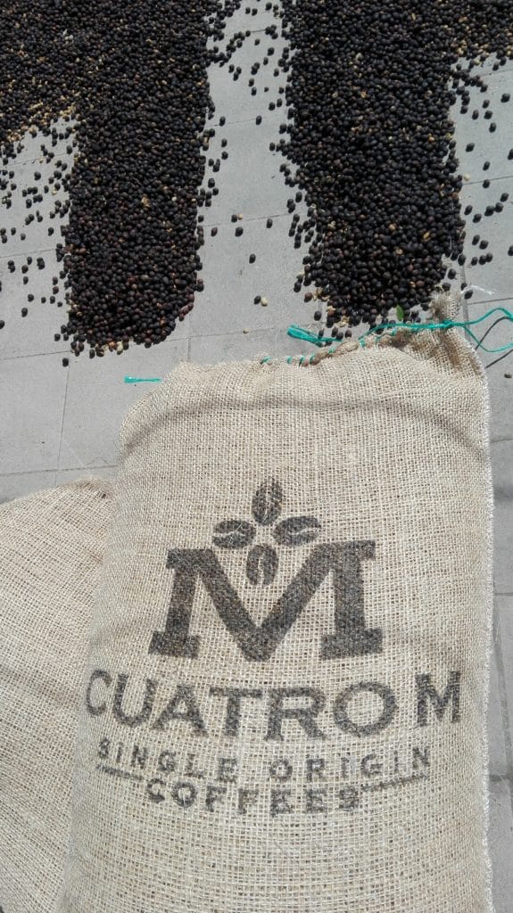 Le café vert voyage en sacs depuis le pays producteur, avant d'être torréfié à Bordeaux.
